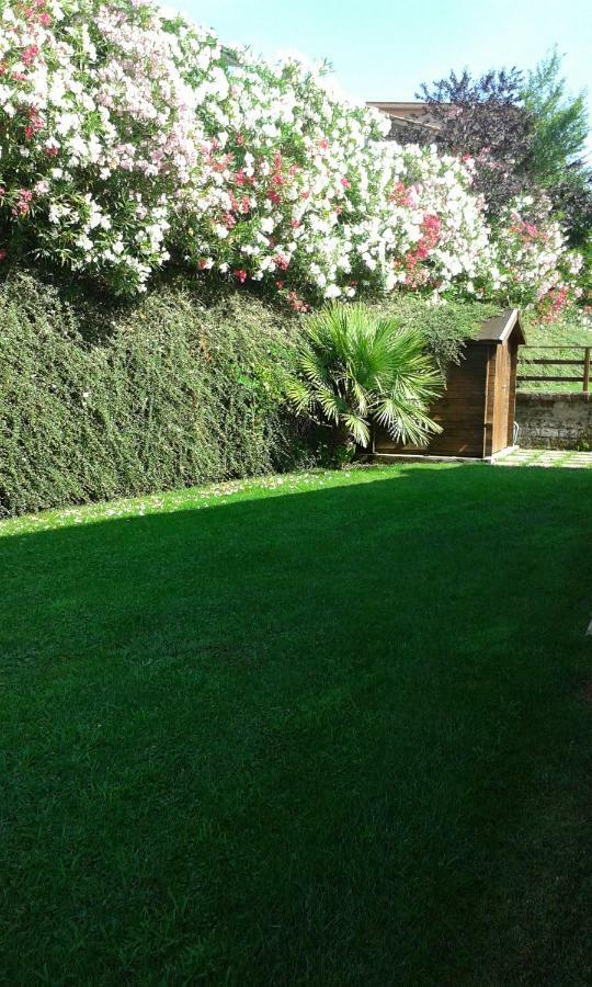 L'Infinito Bed & Breakfast Carbognano Bagian luar foto