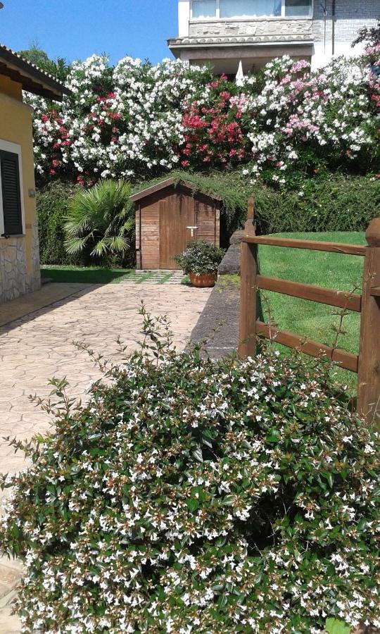 L'Infinito Bed & Breakfast Carbognano Bagian luar foto