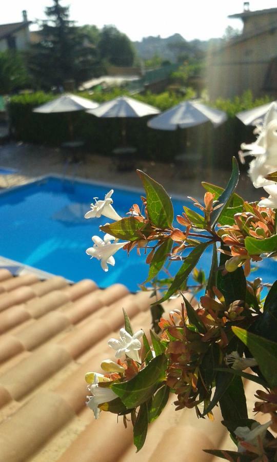 L'Infinito Bed & Breakfast Carbognano Bagian luar foto