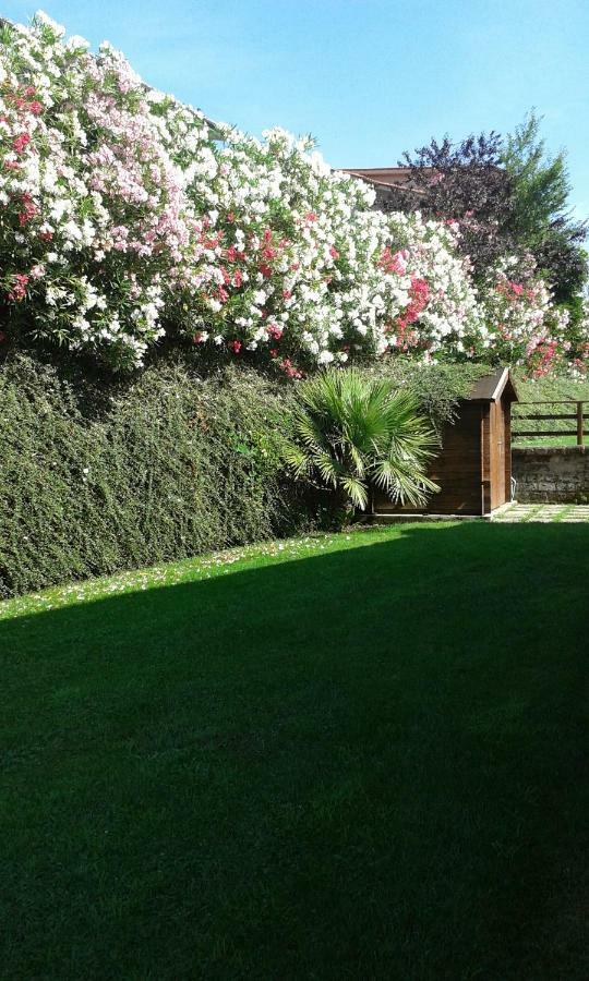 L'Infinito Bed & Breakfast Carbognano Bagian luar foto
